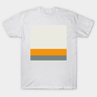 A tremendous shape of Midnight Green (Eagle Green), Platinum, Neon Tangerine and Medium Grey stripes. T-Shirt